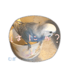 わたしむぎちゃん（個別スタンプ：13）