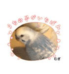わたしむぎちゃん（個別スタンプ：16）