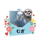 わたしむぎちゃん（個別スタンプ：23）