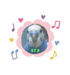 わたしむぎちゃん（個別スタンプ：30）