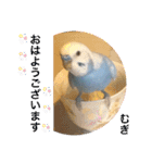 わたしむぎちゃん（個別スタンプ：37）