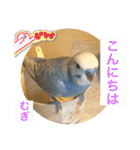 わたしむぎちゃん（個別スタンプ：38）