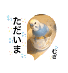 わたしむぎちゃん（個別スタンプ：39）