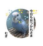わたしむぎちゃん（個別スタンプ：40）