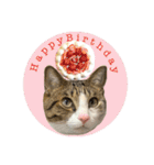 My sister's cat -Tamu-（個別スタンプ：20）
