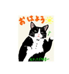 猫あるある。のあナナちろ（個別スタンプ：2）