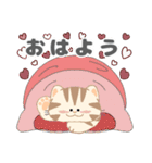 毎日「ねこねこねこ」（個別スタンプ：1）