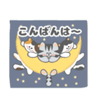 毎日「ねこねこねこ」（個別スタンプ：4）