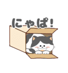 毎日「ねこねこねこ」（個別スタンプ：8）