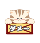 毎日「ねこねこねこ」（個別スタンプ：12）