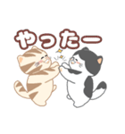 毎日「ねこねこねこ」（個別スタンプ：13）