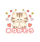 毎日「ねこねこねこ」（個別スタンプ：16）