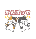 毎日「ねこねこねこ」（個別スタンプ：20）