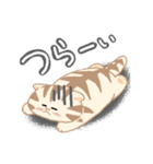 毎日「ねこねこねこ」（個別スタンプ：24）