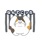 毎日「ねこねこねこ」（個別スタンプ：26）