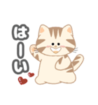 毎日「ねこねこねこ」（個別スタンプ：29）