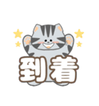 毎日「ねこねこねこ」（個別スタンプ：33）