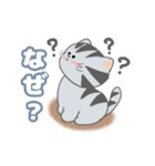 毎日「ねこねこねこ」（個別スタンプ：36）