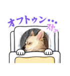 クウちゃん毎日スタンプ2（個別スタンプ：7）