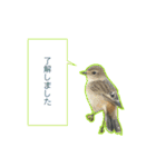 野鳥の吹き出しスタンプ（個別スタンプ：1）