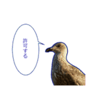 野鳥の吹き出しスタンプ（個別スタンプ：10）