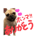 むぎちの愉快な仲間達（個別スタンプ：3）