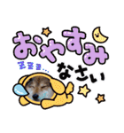 ゴールデンfamilyと仲間たち（個別スタンプ：1）