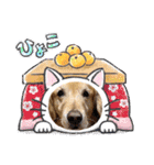 ゴールデンfamilyと仲間たち（個別スタンプ：2）