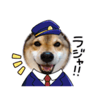 ゴールデンfamilyと仲間たち（個別スタンプ：9）
