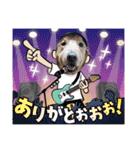 ゴールデンfamilyと仲間たち（個別スタンプ：14）