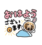 ゴールデンfamilyと仲間たち（個別スタンプ：29）