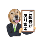 ゴールデンfamilyと仲間たち（個別スタンプ：30）