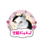 ゴールデンfamilyと仲間たち（個別スタンプ：35）