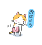 猫とクマの日常スタンプ（個別スタンプ：13）