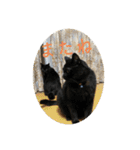 なりんちの黒猫とポメラニアンのカイくん（個別スタンプ：11）