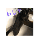 なりんちの黒猫とポメラニアンのカイくん（個別スタンプ：14）