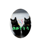 なりんちの黒猫とポメラニアンのカイくん（個別スタンプ：21）