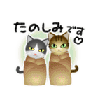 猫の日ごろ23 仲良しガラ猫の春（個別スタンプ：16）