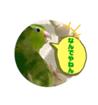 うーちゃんとキョロ2（個別スタンプ：1）