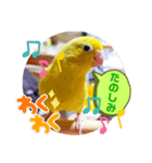 うーちゃんとキョロ2（個別スタンプ：2）