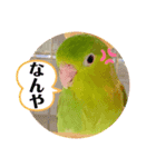 うーちゃんとキョロ2（個別スタンプ：3）