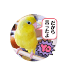 うーちゃんとキョロ2（個別スタンプ：4）