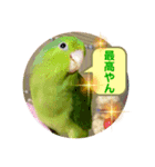 うーちゃんとキョロ2（個別スタンプ：5）