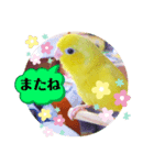 うーちゃんとキョロ2（個別スタンプ：7）