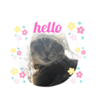 あんずちゃん其の8（個別スタンプ：3）