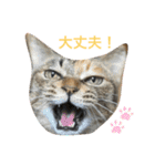 あんずちゃん其の8（個別スタンプ：7）