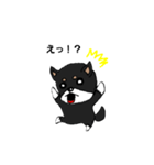 柴犬（黒柴）かわいいポーズいろいろ（個別スタンプ：1）