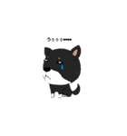 柴犬（黒柴）かわいいポーズいろいろ（個別スタンプ：3）