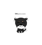 柴犬（黒柴）かわいいポーズいろいろ（個別スタンプ：4）