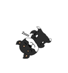 柴犬（黒柴）かわいいポーズいろいろ（個別スタンプ：8）